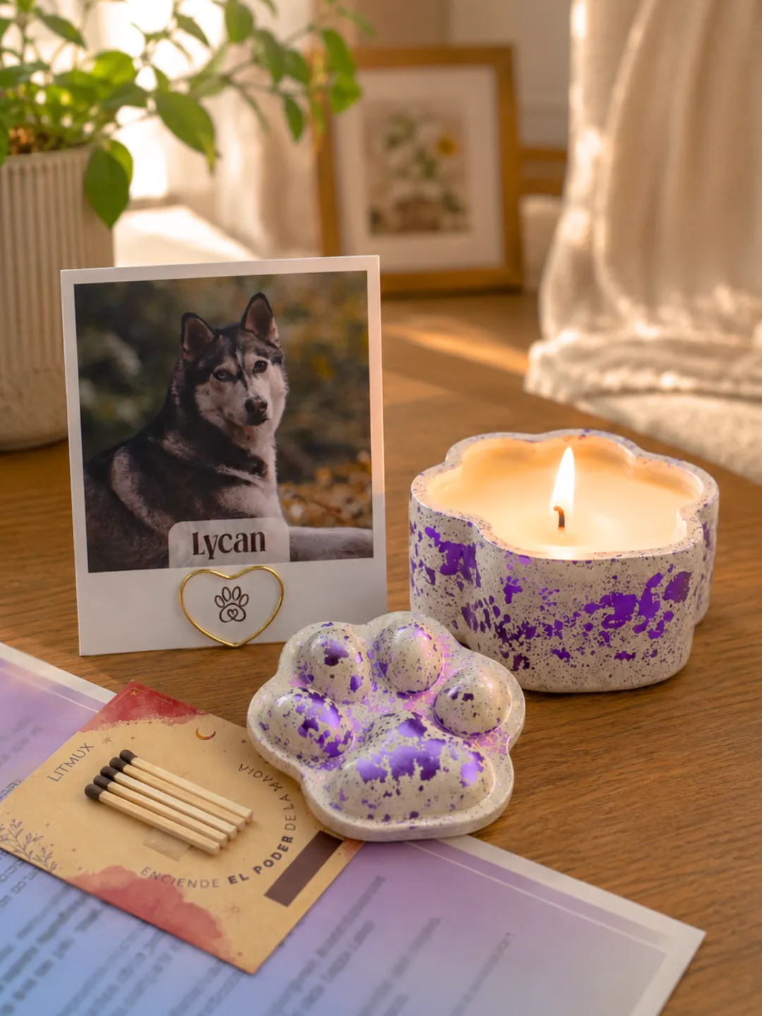 Carta de Amigo Fiel | Un Homenaje a Tu Compañero Peludo - Imagen 2