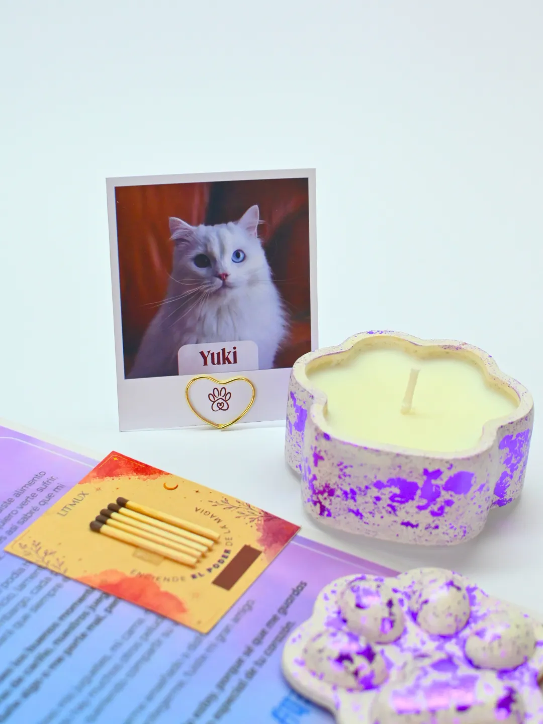 Carta de Amigo Fiel | Un Homenaje a Tu Compañero Peludo - Imagen 5