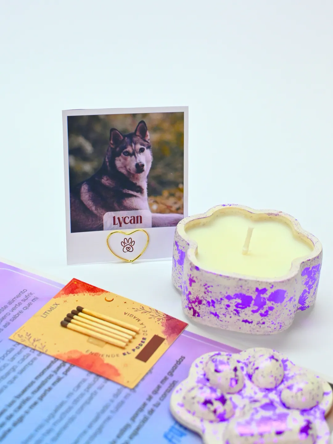 Carta de Amigo Fiel | Un Homenaje a Tu Compañero Peludo - Imagen 6
